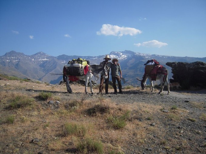 Travesia por Sierra Nevada con burros