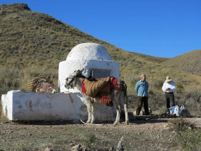 Los burros de el arriero ruedan un cortometraje en Almeria